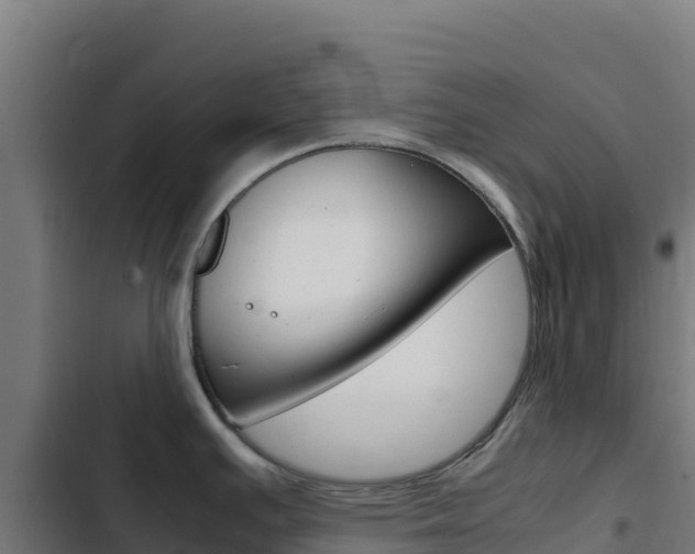 X0000103451391200809121115