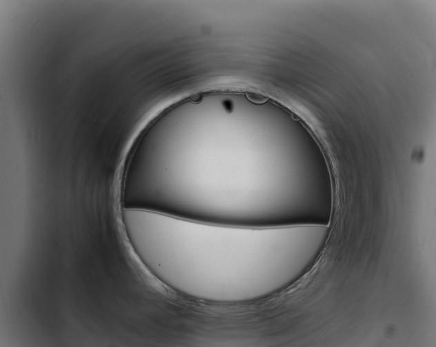 X0000103451392200809121115