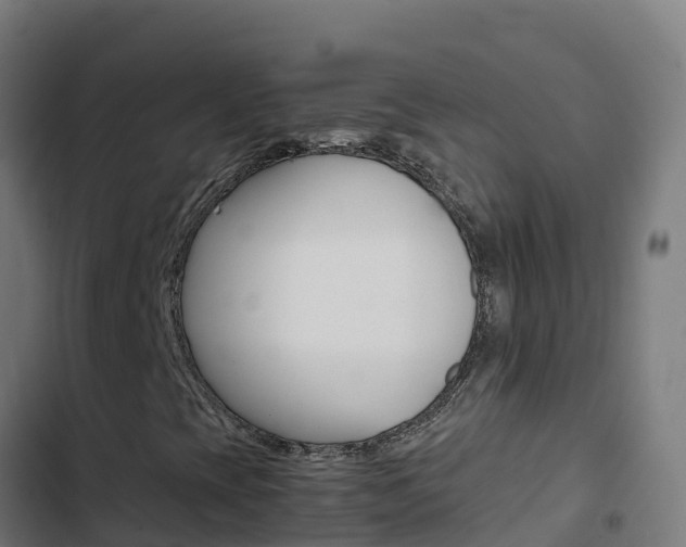X0000103451393200809121114
