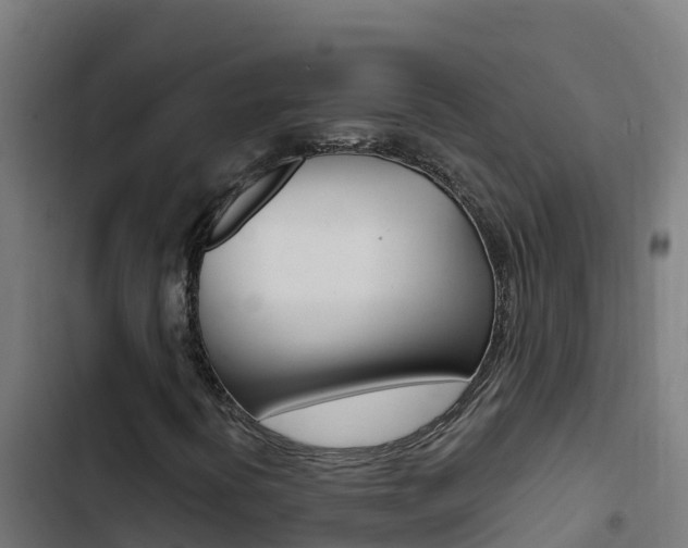 X0000103451394200809121114