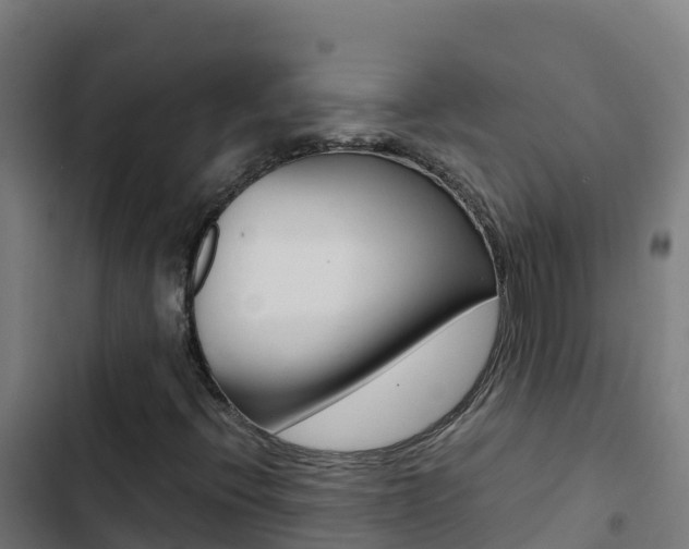 X0000103451396200809121114