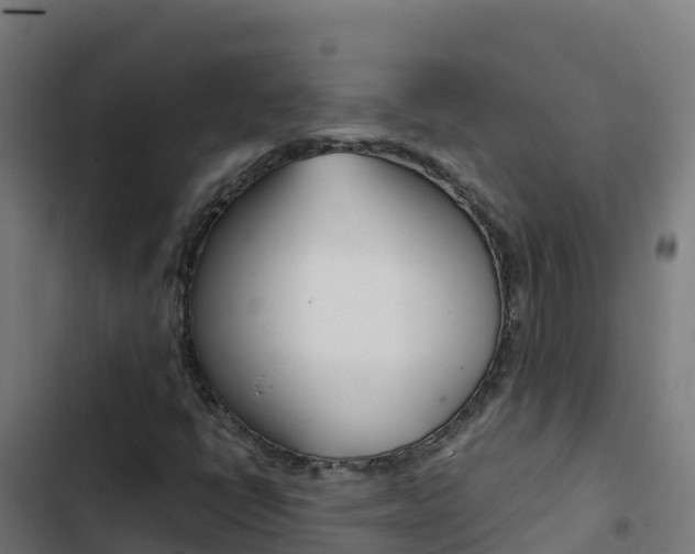 X0000103451398200809121114