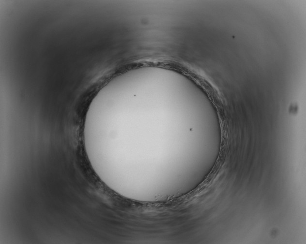 X0000103451399200809121114