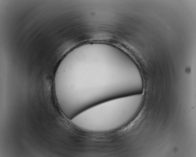 X0000103451401200809121114
