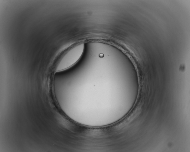 X0000103451402200809121114
