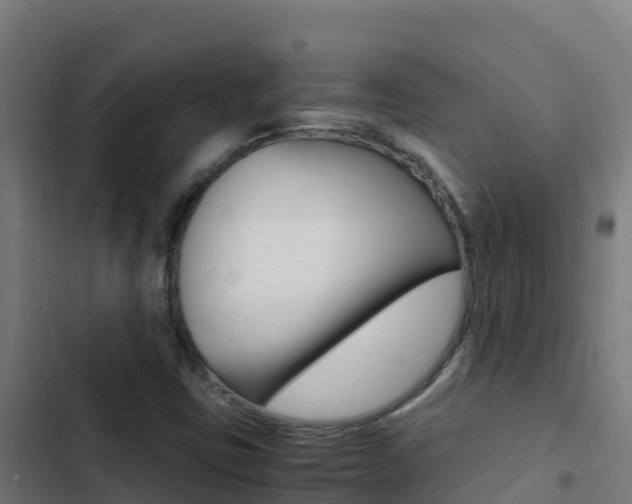 X0000103451403200809121114