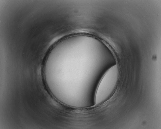 X0000103451404200809121114