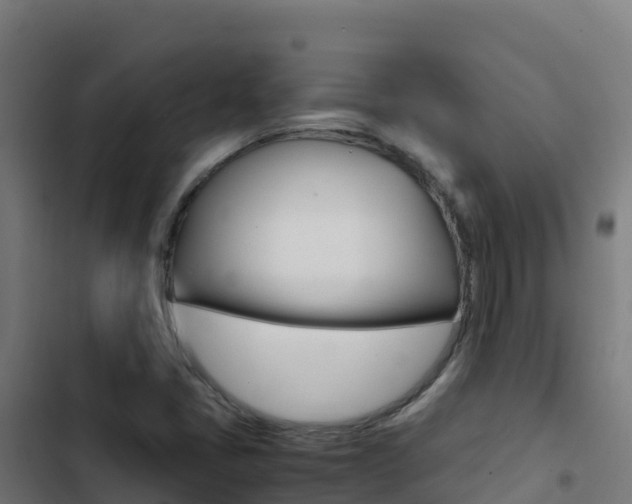 X0000103451405200809121114