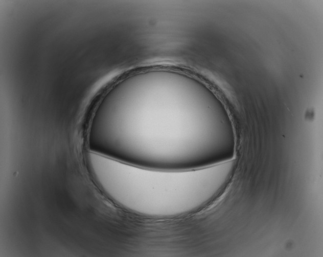 X0000103451406200809121114