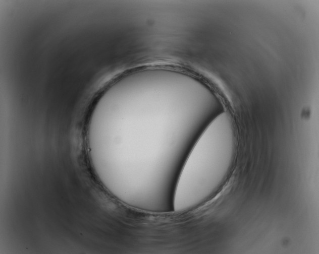 X0000103451407200809121114
