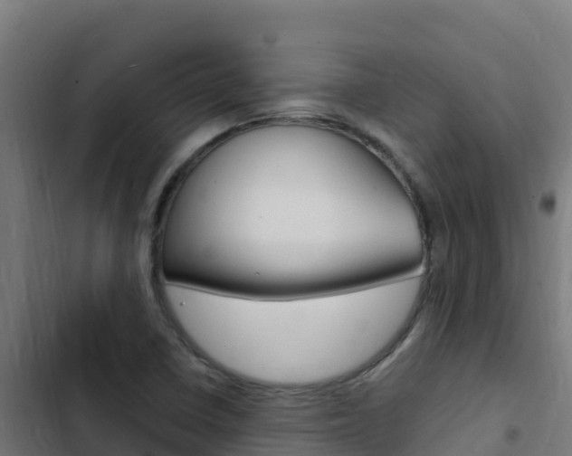 X0000103451410200809121114
