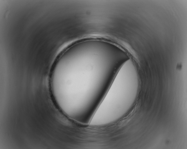 X0000103451412200809121114