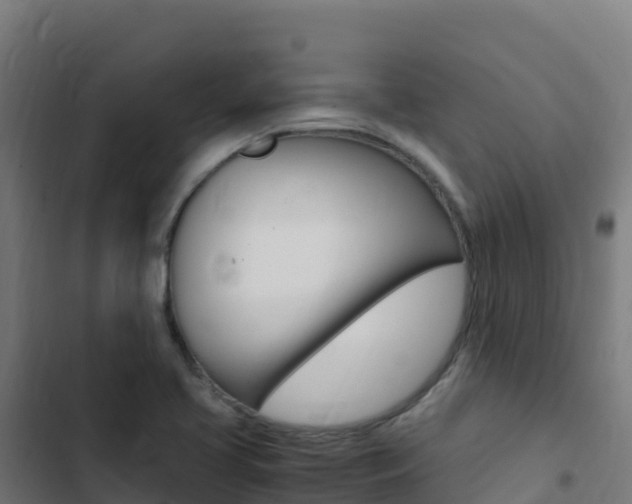 X0000103451413200809121114