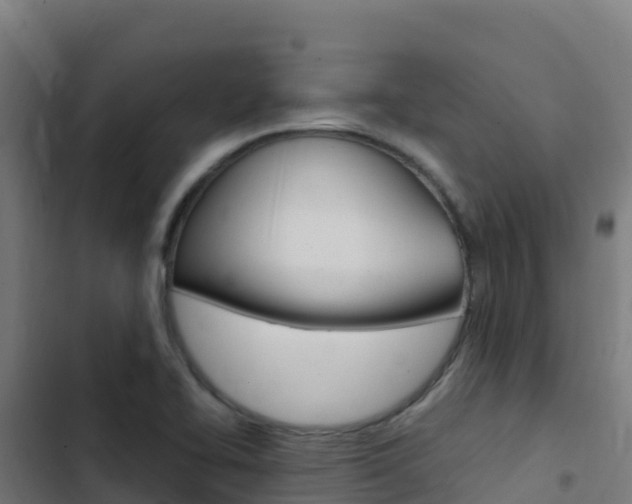 X0000103451414200809121114
