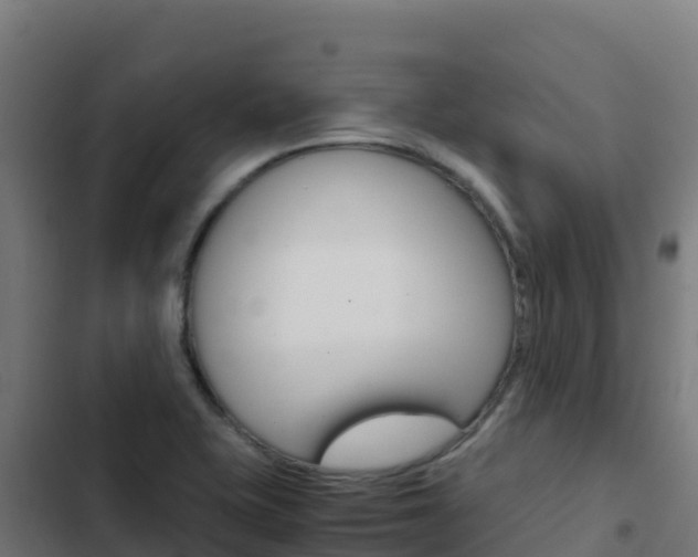 X0000103451415200809121114