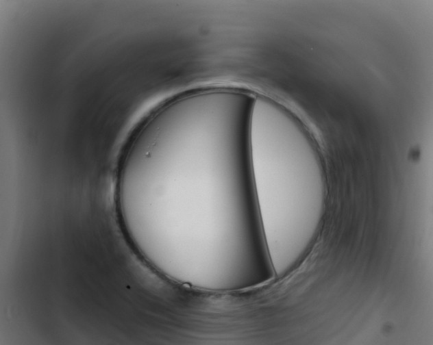 X0000103451416200809121114