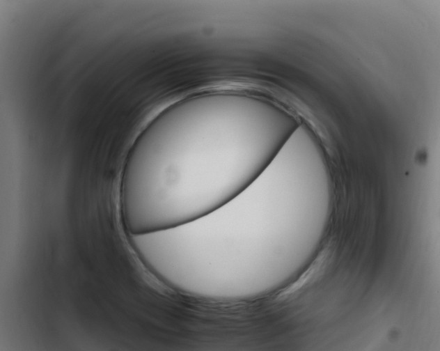 X0000103451417200809121114