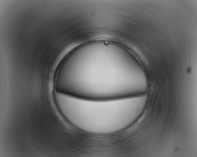 X0000103451418200809121114