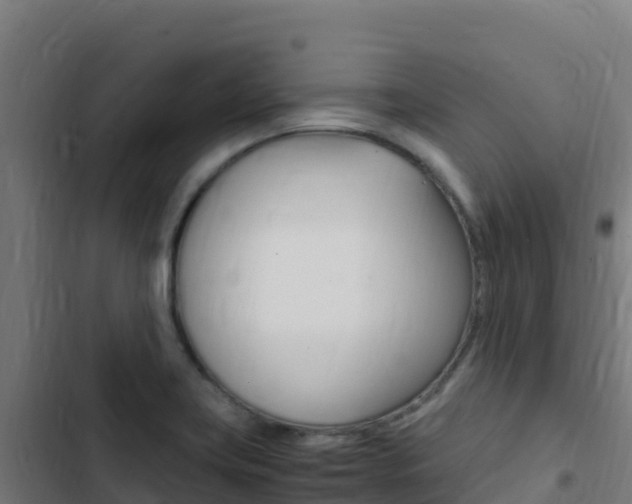 X0000103451419200809121114
