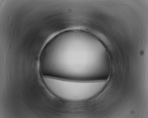 X0000103451420200809121114