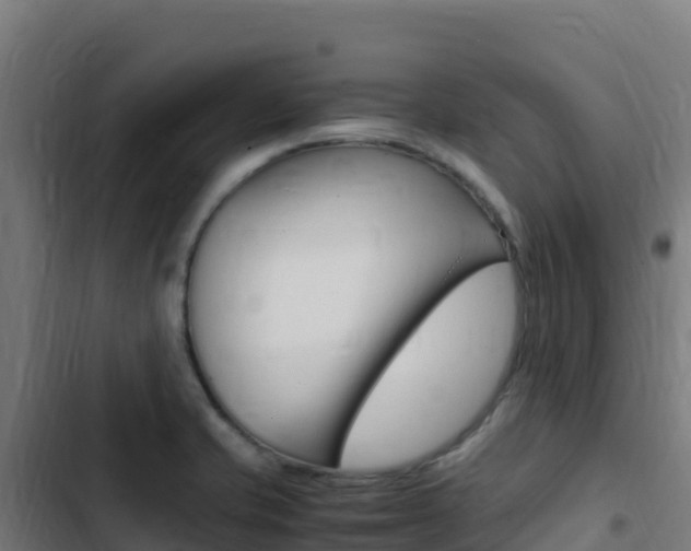 X0000103451421200809121114