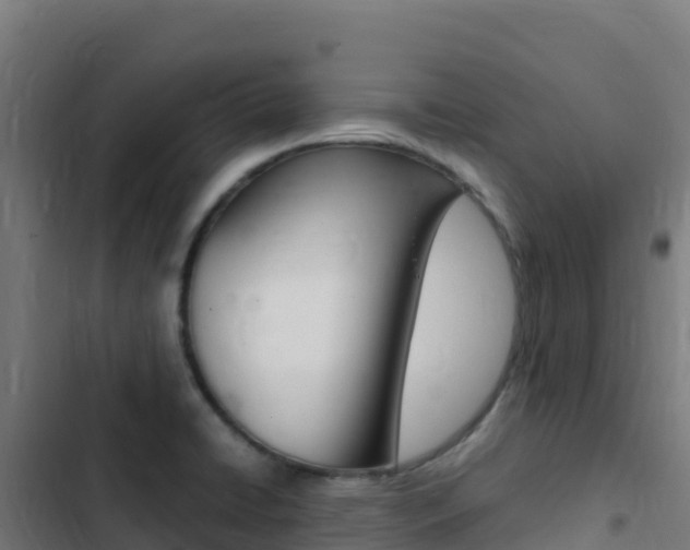 X0000103451422200809121114