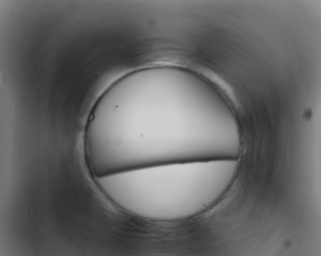 X0000103451423200809121114