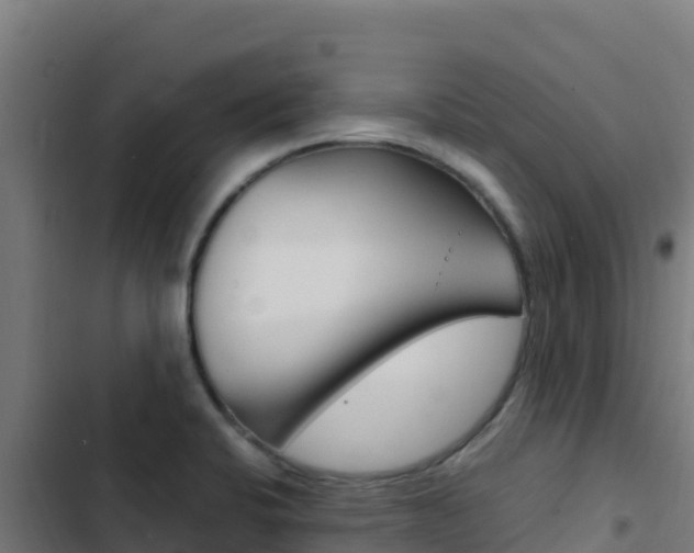 X0000103451424200809121114