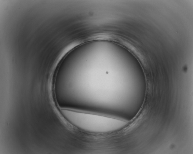 X0000103451426200809121114