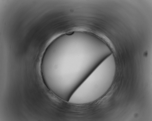X0000103451427200809121114