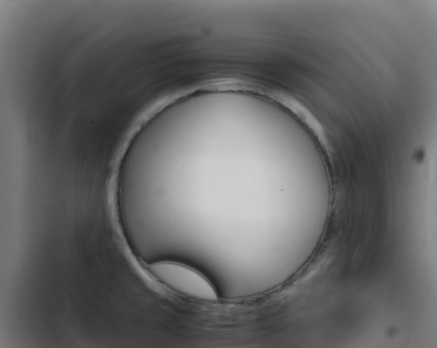 X0000103451429200809121114