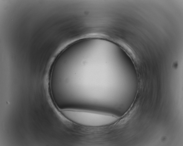 X0000103451430200809121114
