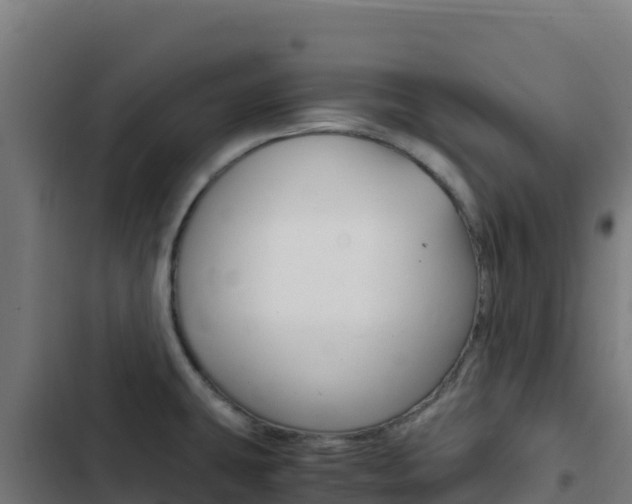 X0000103451431200809121114