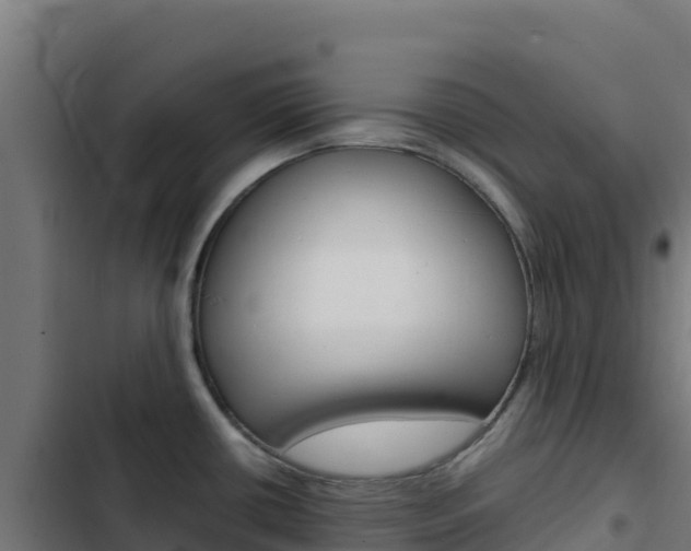 X0000103451434200809121114
