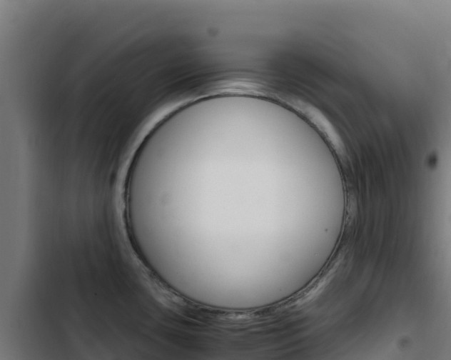 X0000103451435200809121114