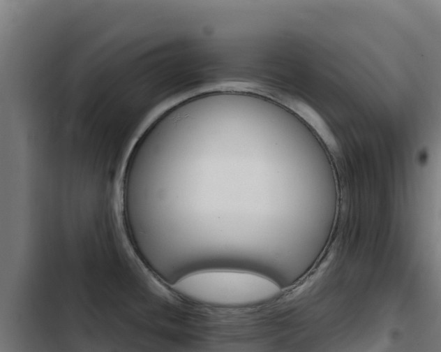 X0000103451436200809121114
