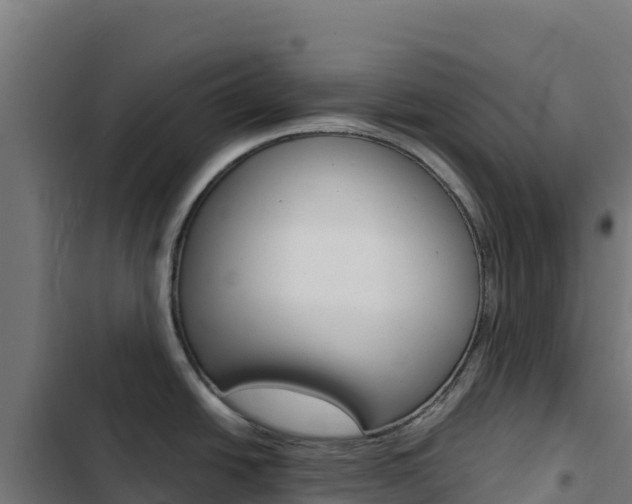 X0000103451438200809121114