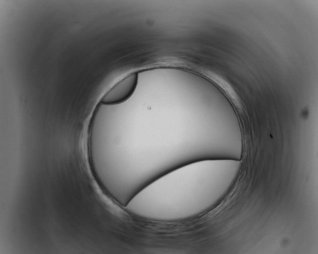 X0000103451439200809121115