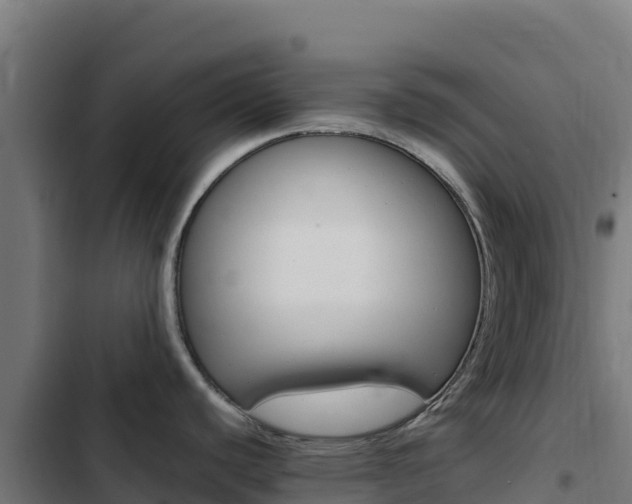 X0000103451440200809121115