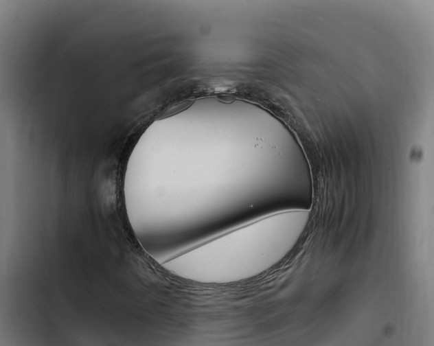 X0000103451442200809121114