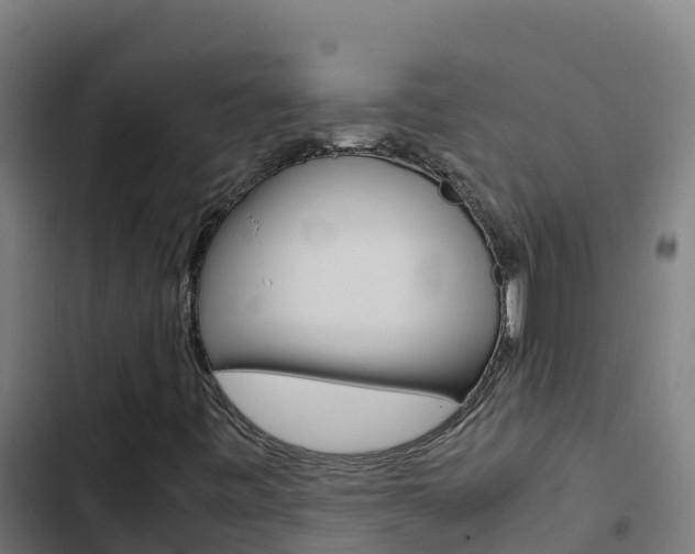 X0000103451443200809121114
