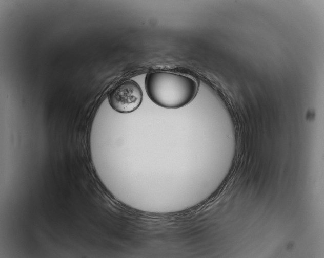 X0000103451444200809121114