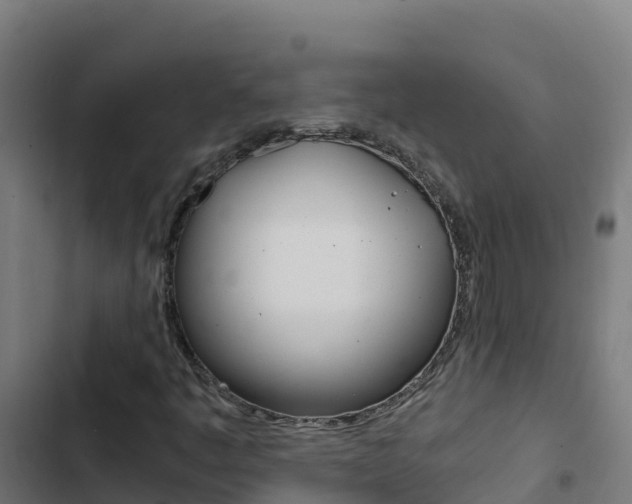 X0000103451445200809121114