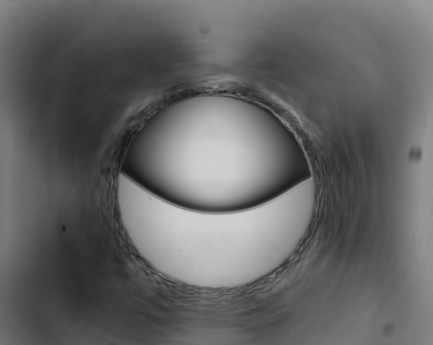 X0000103451447200809121114