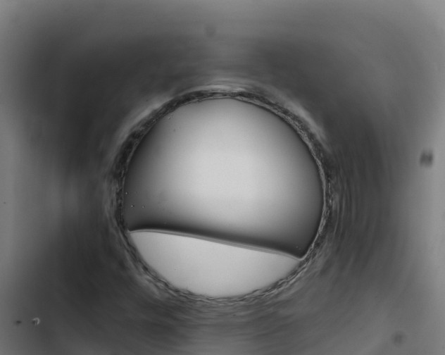 X0000103451448200809121114