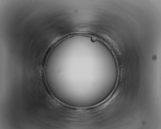 X0000103451449200809121114