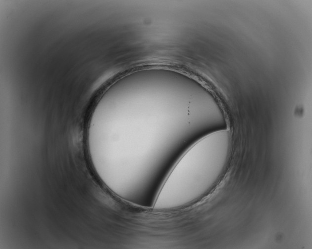 X0000103451450200809121114