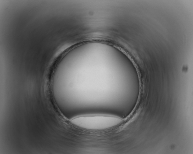 X0000103451453200809121114