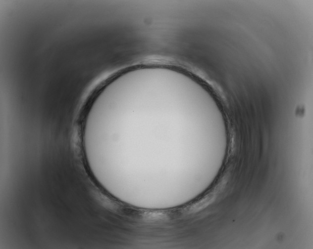 X0000103451454200809121114
