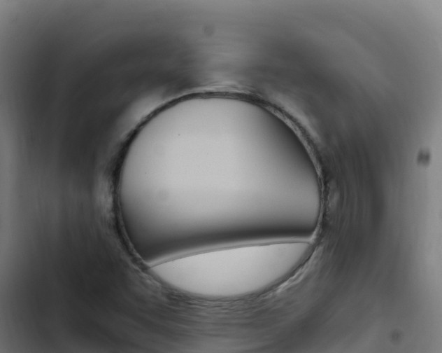 X0000103451455200809121114